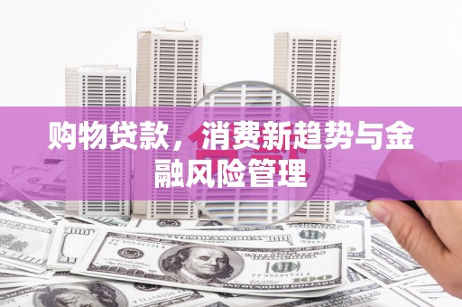 迎泽购物贷款，消费新趋势与金融风险管理
