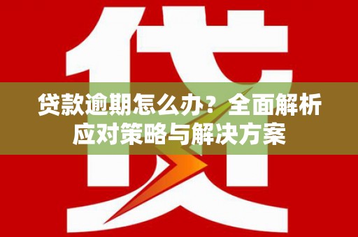 迎泽贷款逾期怎么办？全面解析应对策略与解决方案