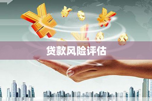 迎泽贷款风险评估