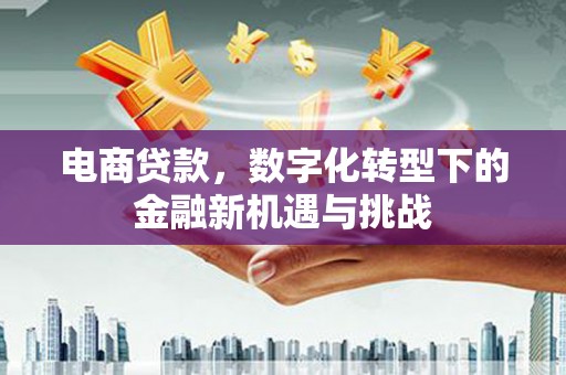 迎泽电商贷款，数字化转型下的金融新机遇与挑战