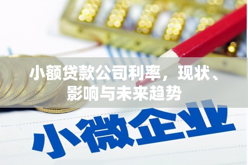 迎泽小额贷款公司利率，现状、影响与未来趋势