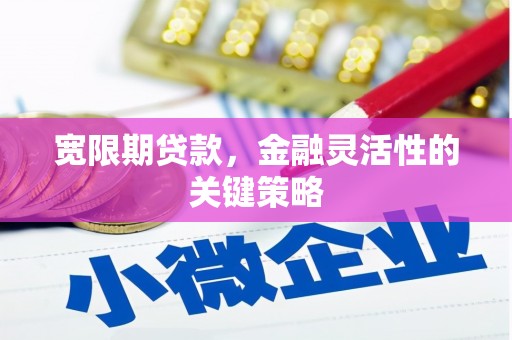 迎泽宽限期贷款，金融灵活性的关键策略
