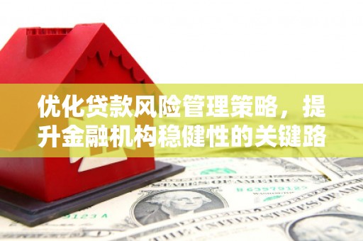 迎泽优化贷款风险管理策略，提升金融机构稳健性的关键路径