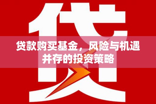 迎泽贷款购买基金，风险与机遇并存的投资策略