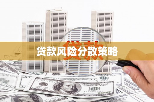 迎泽贷款风险分散策略