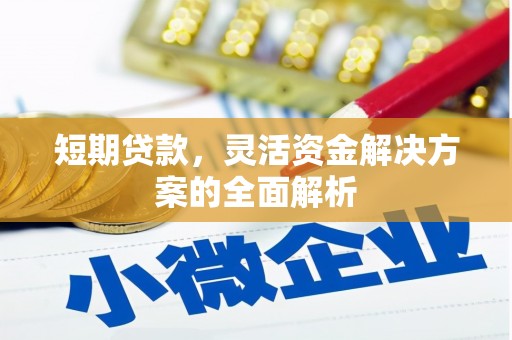 迎泽短期贷款，灵活资金解决方案的全面解析