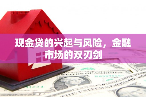 迎泽现金贷的兴起与风险，金融市场的双刃剑