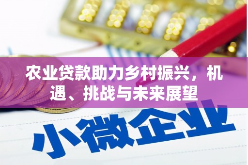 迎泽农业贷款助力乡村振兴，机遇、挑战与未来展望