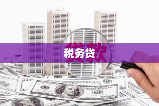 迎泽税务贷