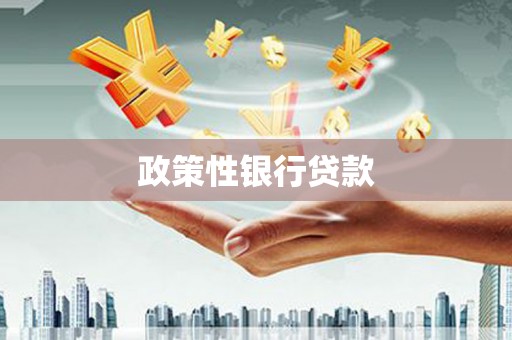 迎泽政策性银行贷款