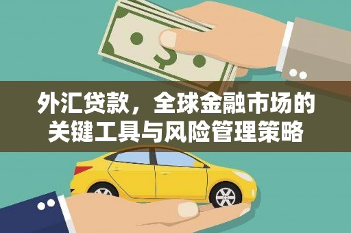 迎泽外汇贷款，全球金融市场的关键工具与风险管理策略