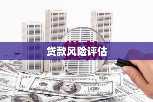 迎泽贷款风险评估