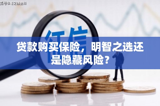 迎泽贷款购买保险，明智之选还是隐藏风险？