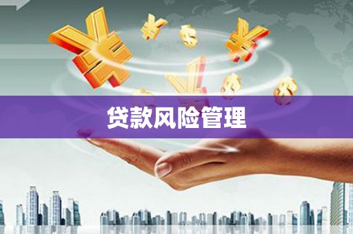 迎泽贷款风险管理