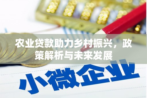 迎泽农业贷款助力乡村振兴，政策解析与未来发展