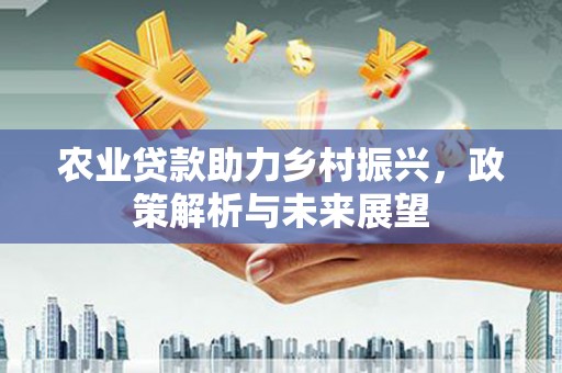 迎泽农业贷款助力乡村振兴，政策解析与未来展望