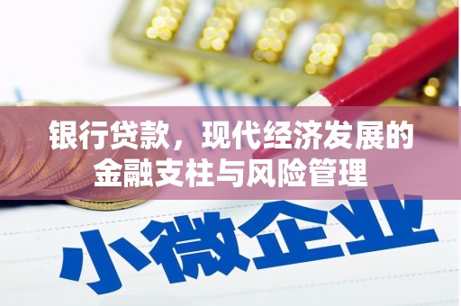 迎泽银行贷款，现代经济发展的金融支柱与风险管理