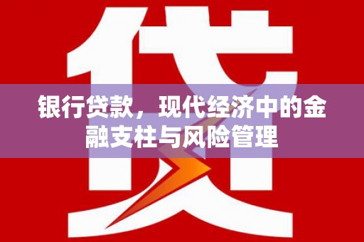 迎泽银行贷款，现代经济中的金融支柱与风险管理