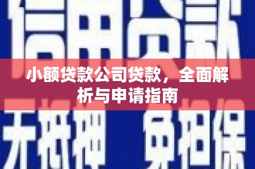 迎泽小额贷款公司贷款，全面解析与申请指南