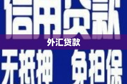 迎泽外汇贷款