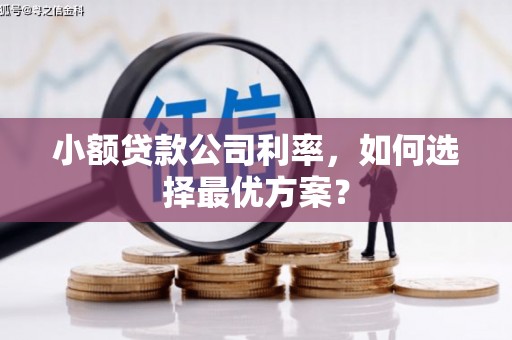 迎泽小额贷款公司利率，如何选择最优方案？