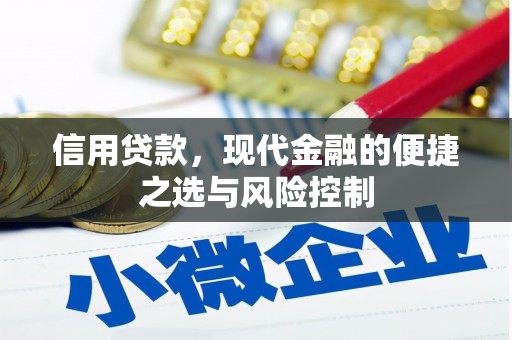 迎泽信用贷款，现代金融的便捷之选与风险控制
