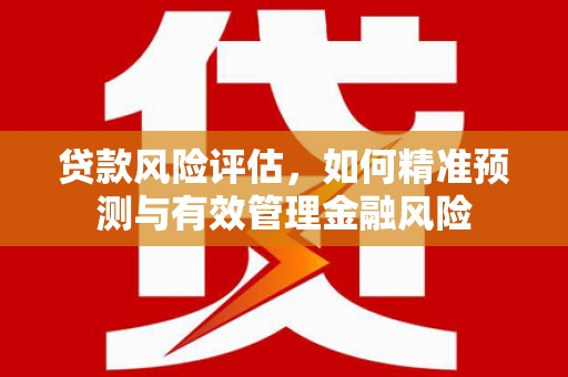 迎泽贷款风险评估，如何精准预测与有效管理金融风险