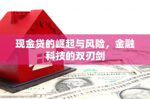 迎泽现金贷的崛起与风险，金融科技的双刃剑