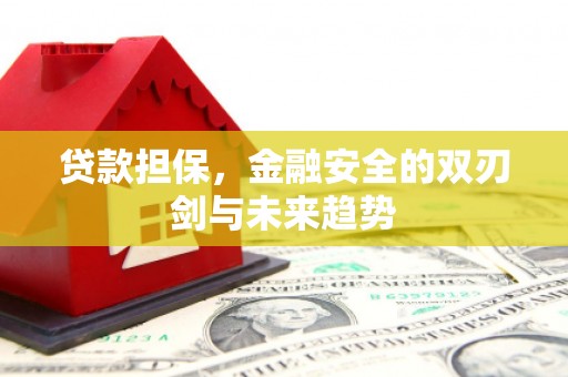 迎泽贷款担保，金融安全的双刃剑与未来趋势