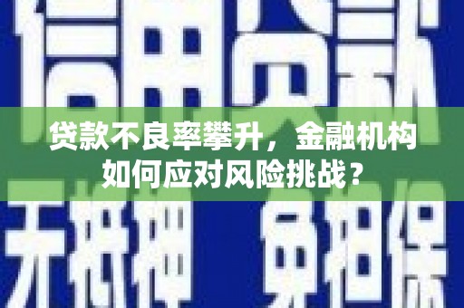 迎泽贷款不良率攀升，金融机构如何应对风险挑战？