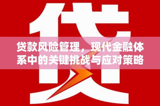 迎泽贷款风险管理，现代金融体系中的关键挑战与应对策略