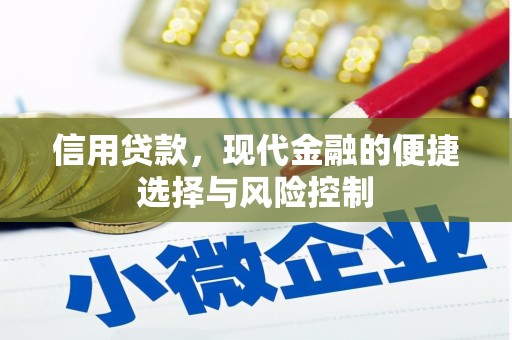迎泽信用贷款，现代金融的便捷选择与风险控制