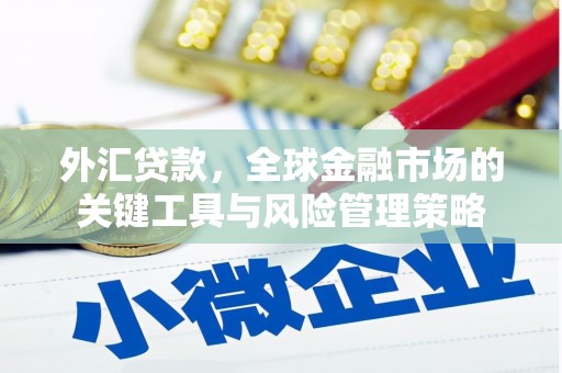 迎泽外汇贷款，全球金融市场的关键工具与风险管理策略