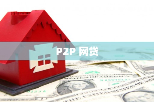 迎泽P2P 网贷