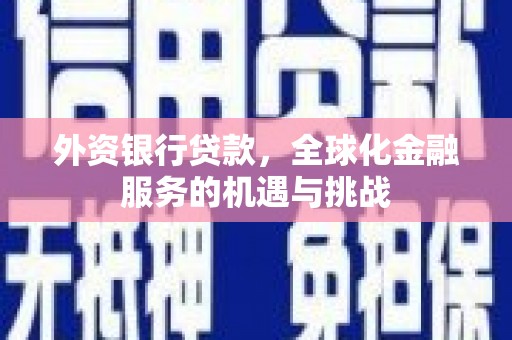 迎泽外资银行贷款，全球化金融服务的机遇与挑战