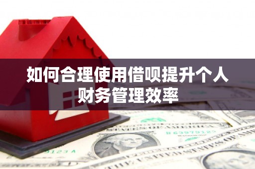 迎泽如何合理使用借呗提升个人财务管理效率
