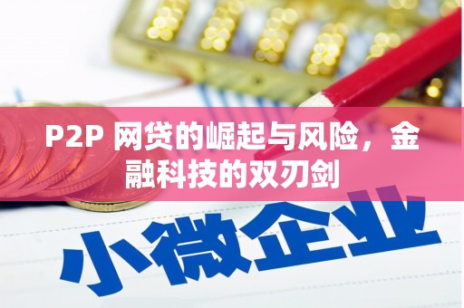 迎泽P2P 网贷的崛起与风险，金融科技的双刃剑