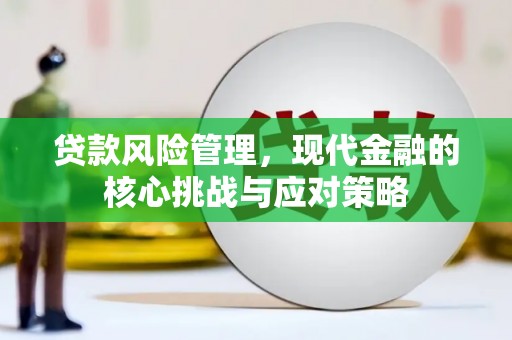 迎泽贷款风险管理，现代金融的核心挑战与应对策略