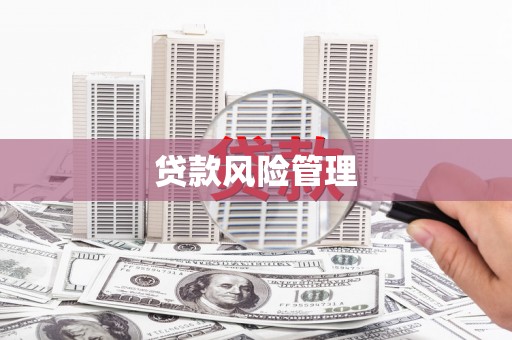 迎泽贷款风险管理