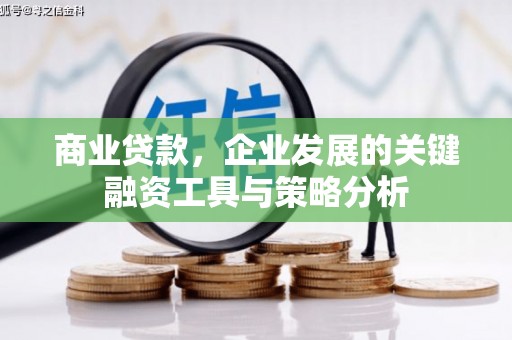 迎泽商业贷款，企业发展的关键融资工具与策略分析