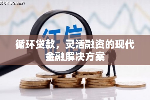 迎泽循环贷款，灵活融资的现代金融解决方案