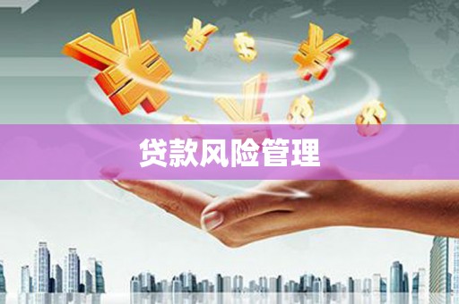 迎泽贷款风险管理