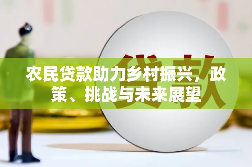 迎泽农民贷款助力乡村振兴，政策、挑战与未来展望