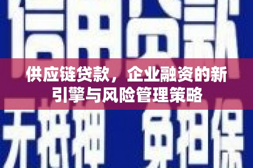 迎泽供应链贷款，企业融资的新引擎与风险管理策略