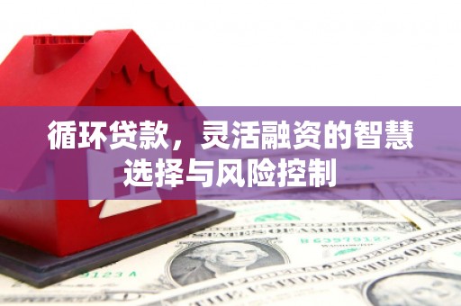 迎泽循环贷款，灵活融资的智慧选择与风险控制