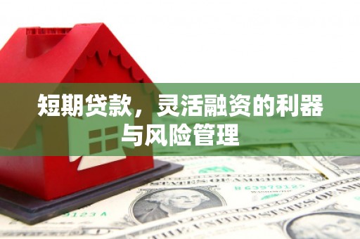 迎泽短期贷款，灵活融资的利器与风险管理