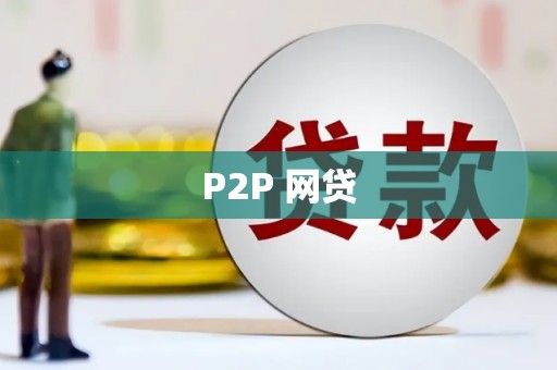 迎泽P2P 网贷