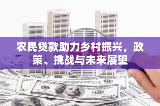 迎泽农民贷款助力乡村振兴，政策、挑战与未来展望
