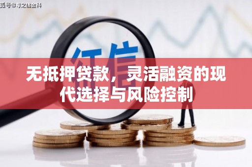 迎泽无抵押贷款，灵活融资的现代选择与风险控制