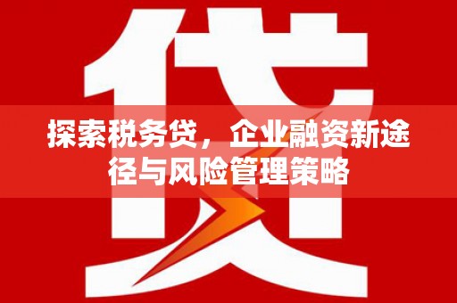 迎泽探索税务贷，企业融资新途径与风险管理策略